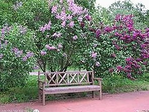 揭秘娱乐圈爆料幕后推手：吃瓜档案背后的真相